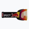Slidinėjimo akiniai Red Bull SPECT Soar Photo matt black/brown with red chrome x 3