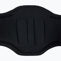 Vyriškas jėgos aitvaras ION Kite Waist Axxis black 4