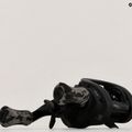 Multiplikatorius Abu Garcia Max X Left Black Ops 6