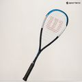 Skvošo raketė Wilson Ultra CV blue/silver 15