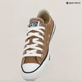"Converse Chuck Taylor All Star Classic Ox" karštos arbatos sportbačiai 9