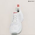 Vyriški teniso bateliai Wilson Rxt Active white/pearl blue/wilson red 9