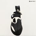 Laipiojimo bateliai Evolv Zenist grey/black 6