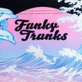 Vyriškos kelnės Funky Trunks Sidewinder maudymosi bokseriai spalvoti FTS010M7155834 4