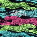 Vyriškos kelnės Funky Trunks Sidewinder maudymosi bokseriai spalvoti FTS015M7153330 4