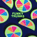 Vyriški maudymosi bokseriai Funky Trunks Sidewinder you lemon 3