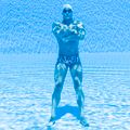 Vyriškos plaukimo trumpikės Funky Trunks Classic Trunks curl curl 11