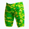Vyriški plaukimo šortai Funky Trunks Training Jammers try tonic