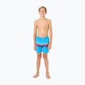 Vaikiški maudymosi šortai Rip Curl Surf Revival Volley blue paint 2