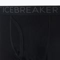 Vyriškos termo kelnės Icebreaker 200 Oasis W/Fly black 9