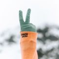 Pirštinės Mons Royale Olympus Merino Glove dew 3