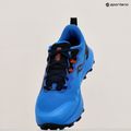 Vyriški bėgimo bateliai Saucony Peregrine 14 cobalt/black 11