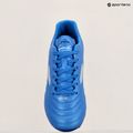 Vyriški futbolo batai Joma Aguila FG royal 14