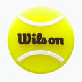 Vibracijos slopintuvas Wilson Roland Garros Tennis Ball 2 vnt. yellow/ black/ white 3