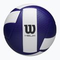Tiklinio kamuolys Wilson Helix Game Ball blue/white dydis 5