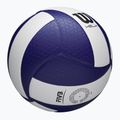 Tiklinio kamuolys Wilson Helix Game Ball blue/white dydis 5 6
