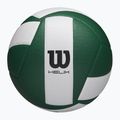 Tiklinio kamuolys Wilson Helix Game Ball green/white dydis 5
