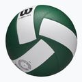 Tiklinio kamuolys Wilson Helix Game Ball green/white dydis 5 5