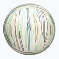 Paplūdimio tinklinio kamuolys Wilson Shoreline Gen white/blue dydis 5 5