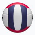 Tiklinio kamuolys Wilson Thrive red/white/navy dydis 5 5