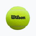 Padelio kamuoliukai Wilson Premier Padel 3 vnt. yellow 5