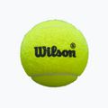 Padelio kamuoliai Wilson Premier Padel Speed 3B 3 vnt. yellow 2