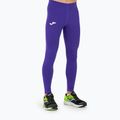 Joma Brama Academy Ilgos termoaktyvios kelnės morado 4