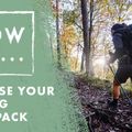 Salomon XT 10 l žygių kuprinė balta ir juoda LC1764400 8