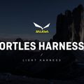 Salewa Ortles Laipiojimo petnešos geltonos spalvos 00-0000001751 7