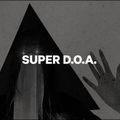 Vyriškos snieglentės CAPiTA Super D.O.A white 1211111/160 3