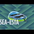 JOBE Sea-esta Towable 3P blue 230320010 velkama plūdė 12