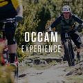 Orbea Occam H10 2023 tamsiai žalias/laimo žalias kalnų dviratis 3