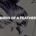 Moteriškos snieglentės CAPiTA Birds Of A Feather white 1211119 13