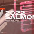 Slingshot Salmon rožinė wakeboard 9