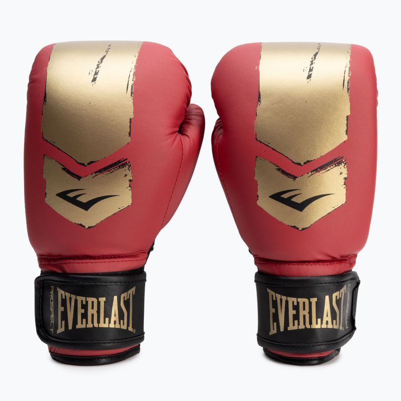 Bokso rinkinys Everlast Prospect 2 Heavy Bag red/gold 6