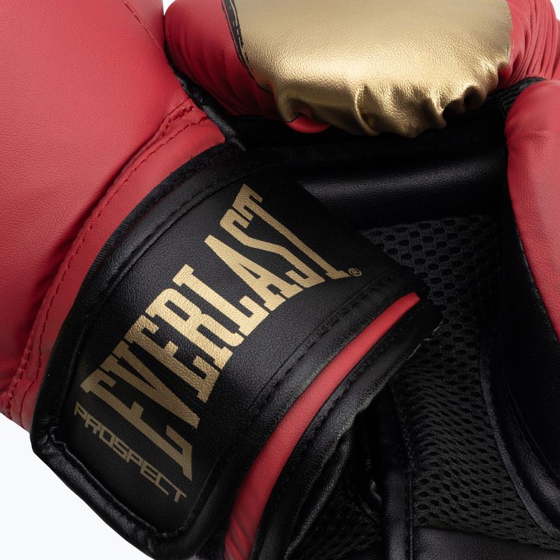 Bokso rinkinys Everlast Prospect 2 Heavy Bag red/gold 9