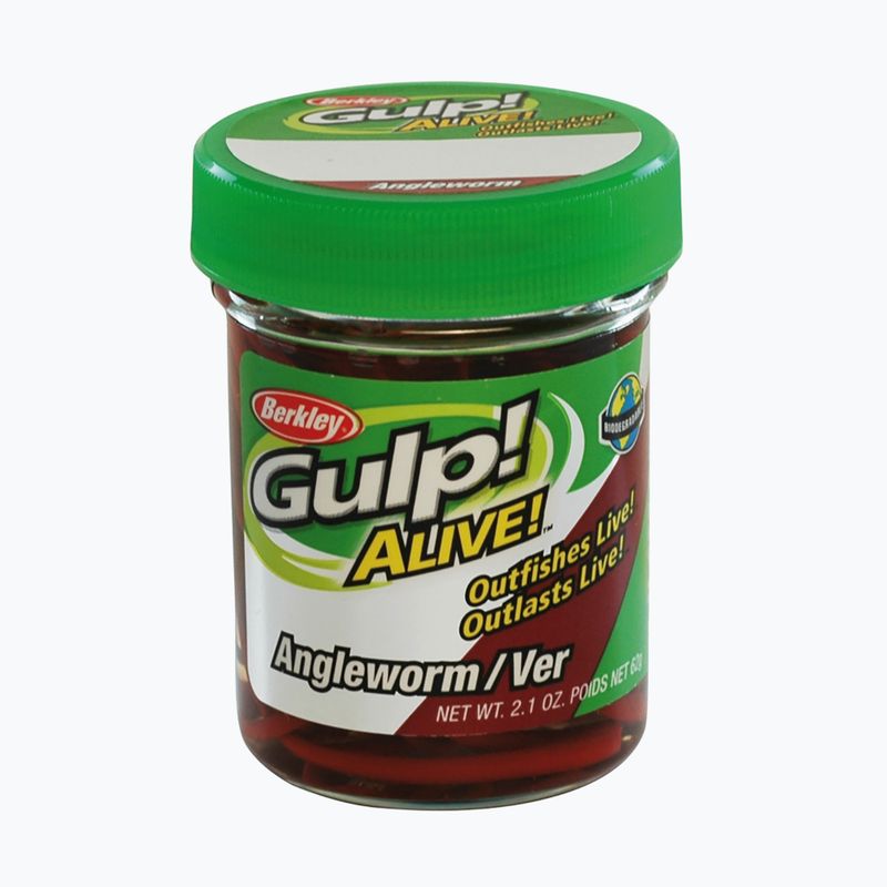 Berkley Gulp Alive Angle Worm Red Wiggler dirbtinis sliekas masalas 1140587