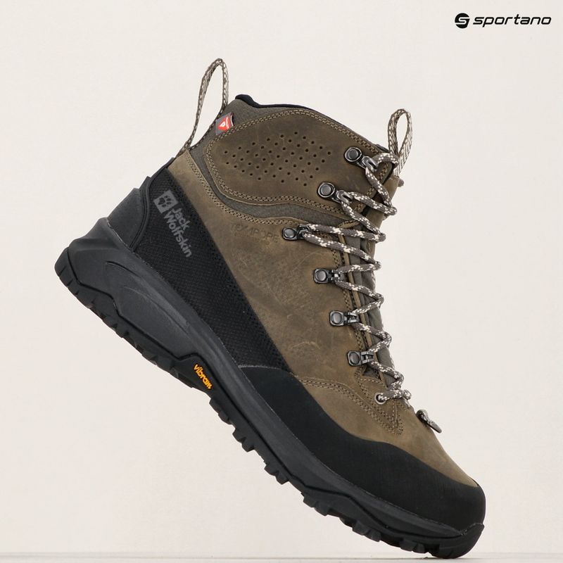 Vyriški žygio batai Jack Wolfskin Terraquest Arctic Texapore Mid cold coffee 11