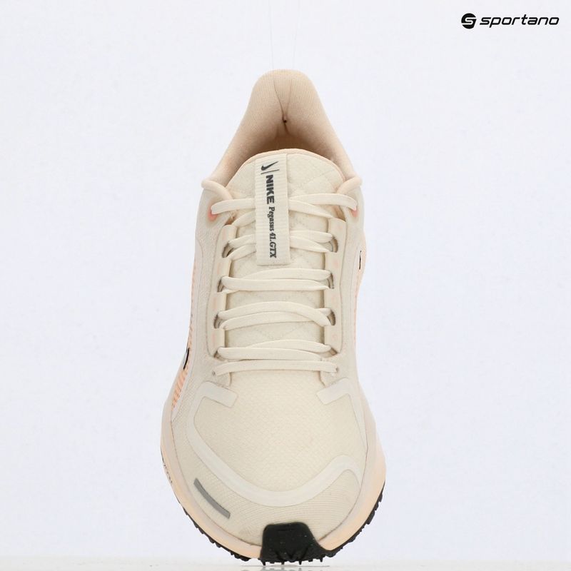 Moteriški bėgimo batai Nike Pegasus 41 GORE-TEX sail/ guava ice/ crimson tint/ anthracite 9