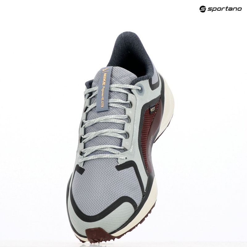 Moteriški bėgimo batai Nike Pegasus 41 GTX light pumice/ burgundy crush/ dark smoke grey/ ashen slate 9