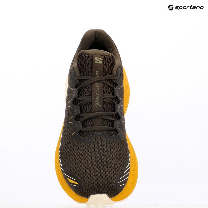 Vyriški bėgimo batai Salomon Drx Defy GRVL wren/spicy mustard/vanilla ice 13