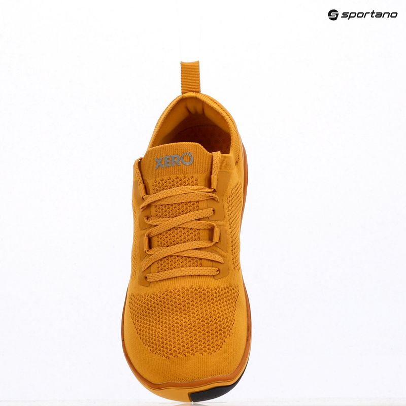 Vyriški barefoot batai Xero Shoes Nexus Knit gold 9