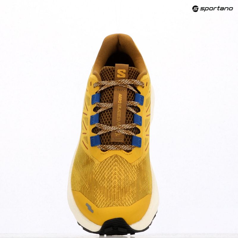Vyriški bėgimo bateliai Salomon Aero Blaze 3 GRVL spicy mustard/vanilla ice/nautical blue 9