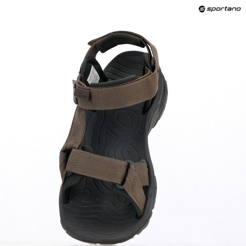 Vyriški sandalai Jack Wolfskin Lakewood Ride cold coffee 12