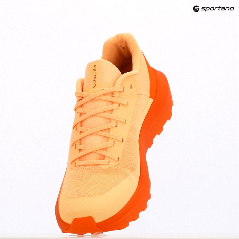 Moteriški bėgimo batai Arcteryx Norvan LD 4 luminary / verve 11