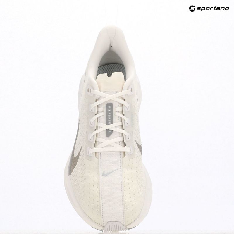 Vyriški bėgimo bateliai Nike Pegasus Plus white / pure platinum / wolf grey 19
