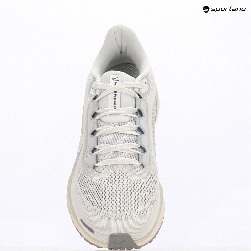 Moteriški bėgimo batai Nike Pegasus 41 ESS white/chalk/sea glass/white 12