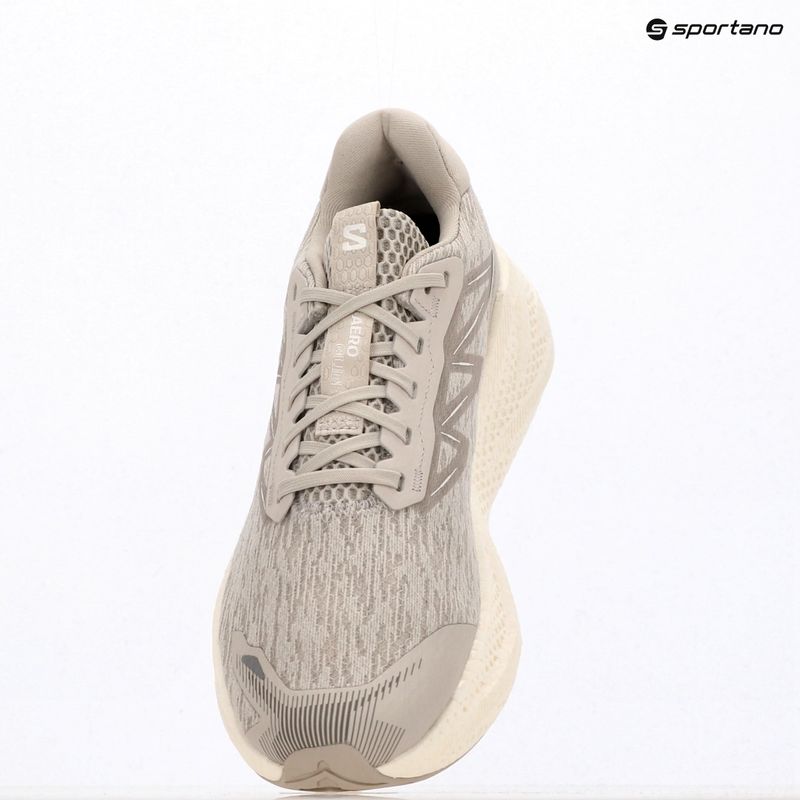 Vyriški bėgimo batai Salomon Aero Glide 4 silver/silver/white 4