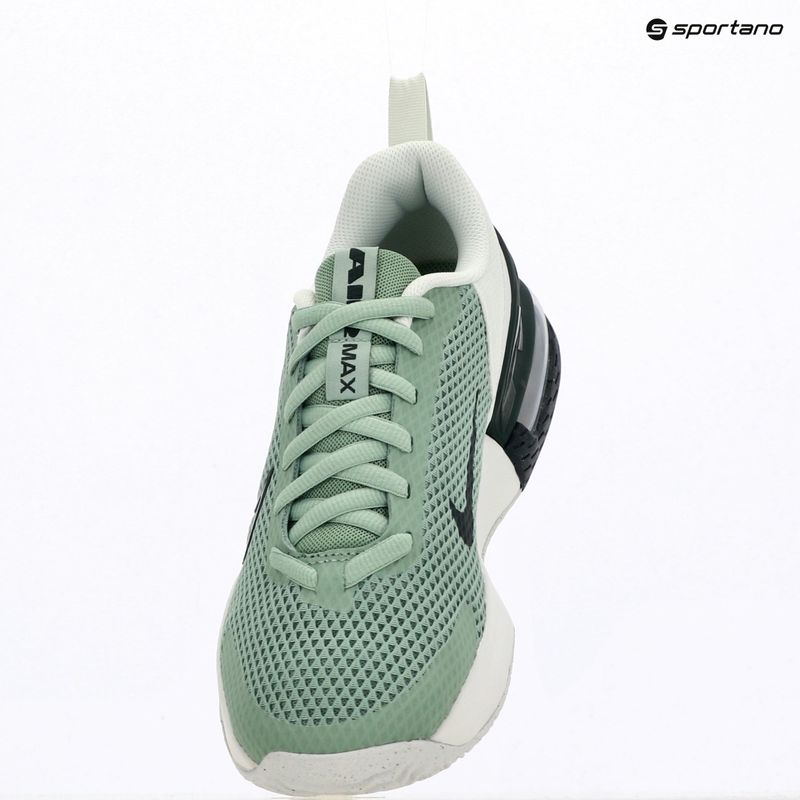 Vyriški treniruočių batai Nike Air Max Alpha Trainer 6 steam/spruce aura/off white/black spruce 13