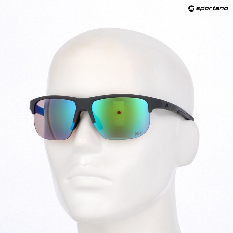 Saulės akiniai Alpina Eagle Q-Lite midnight/grey matt/green 7